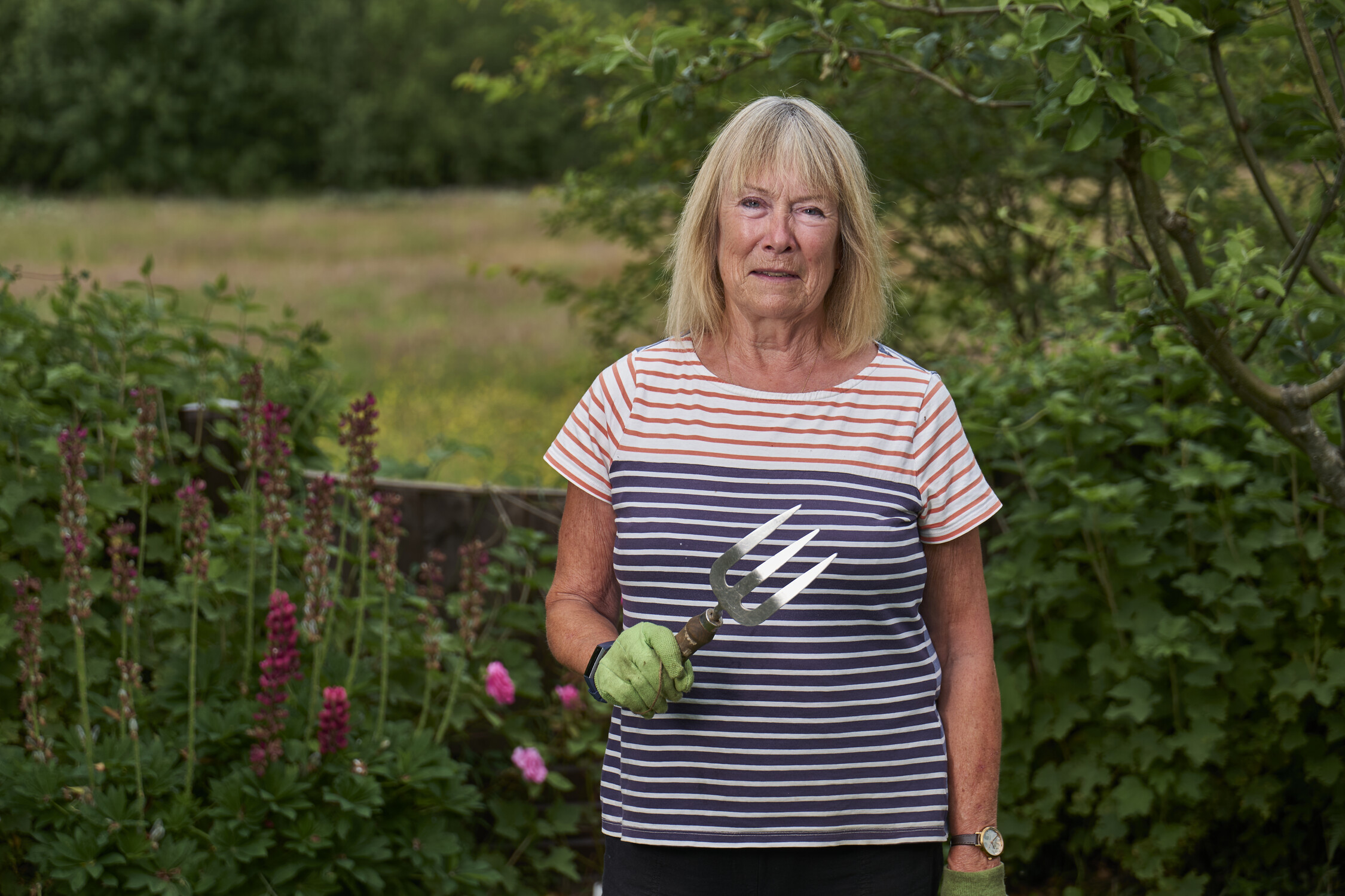 Hobbies, skills, reablement, gardening, sitting service, carers break, dementia.