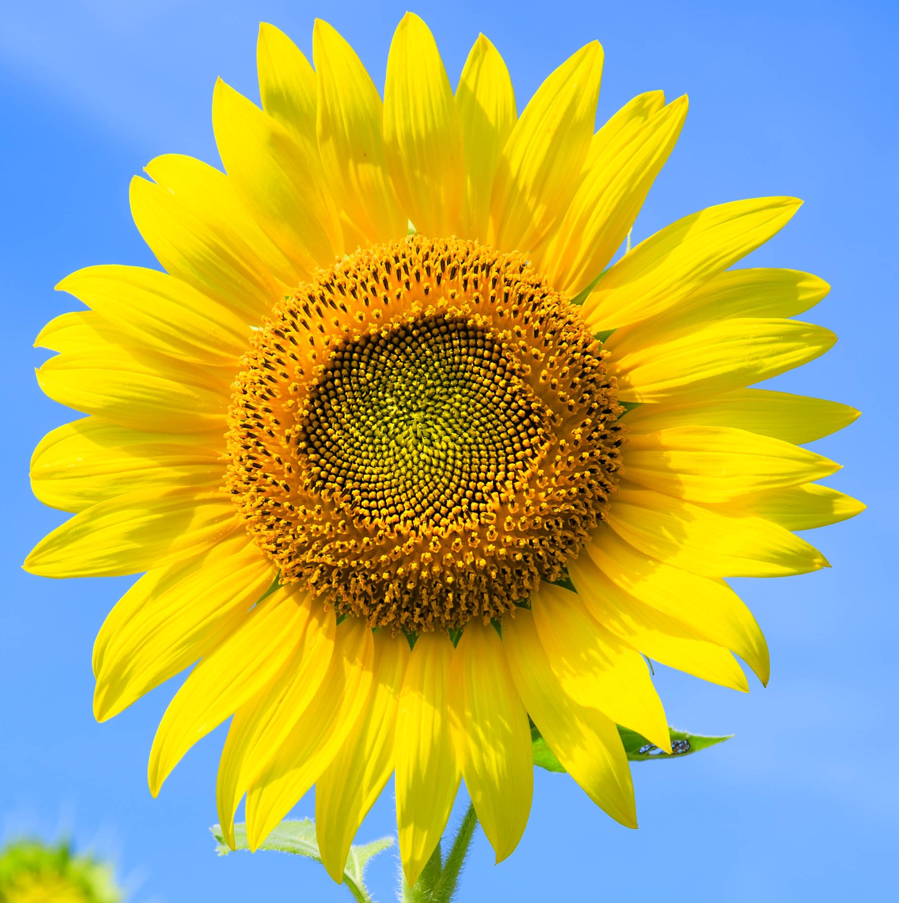 A Better Life Social Wellbeing Service Contact Us for more information or to book . A Better Life Social Wellbeing Service.